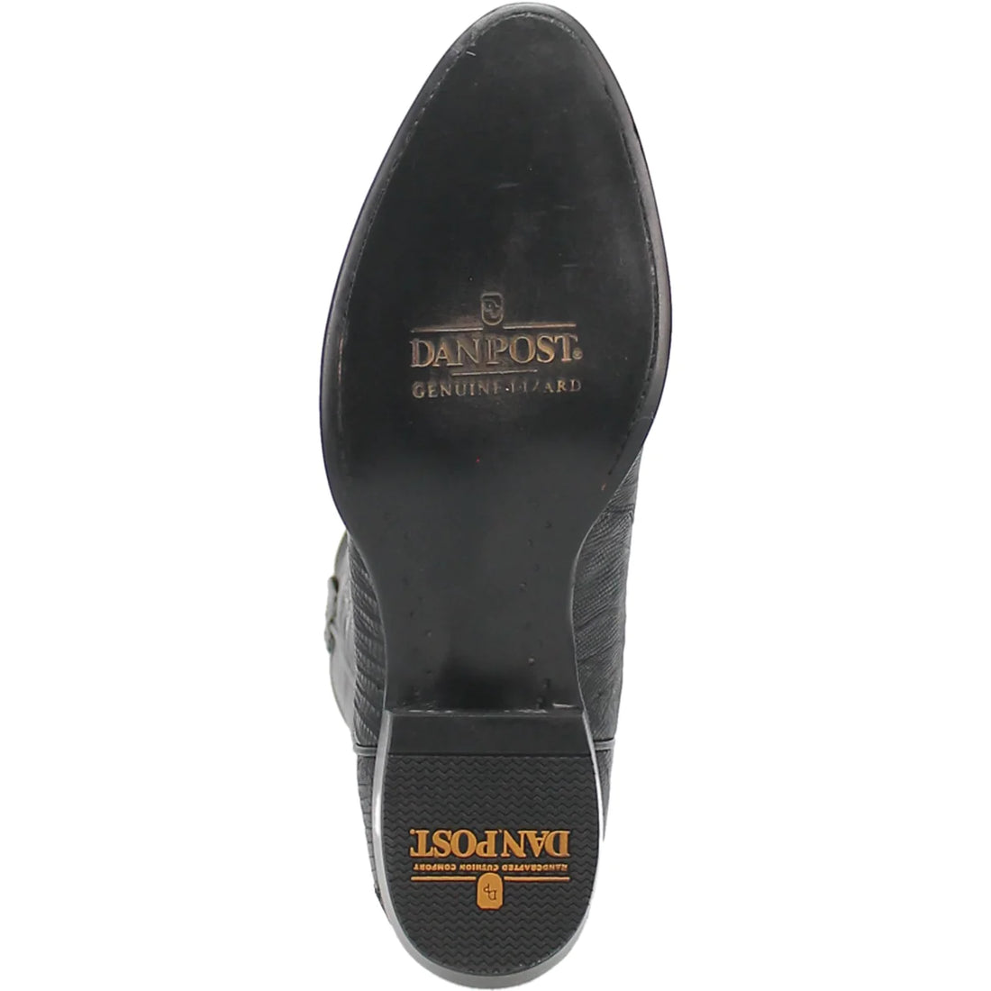 Dan Post Men's Winston Lizard R Toe Boot | DP3050R