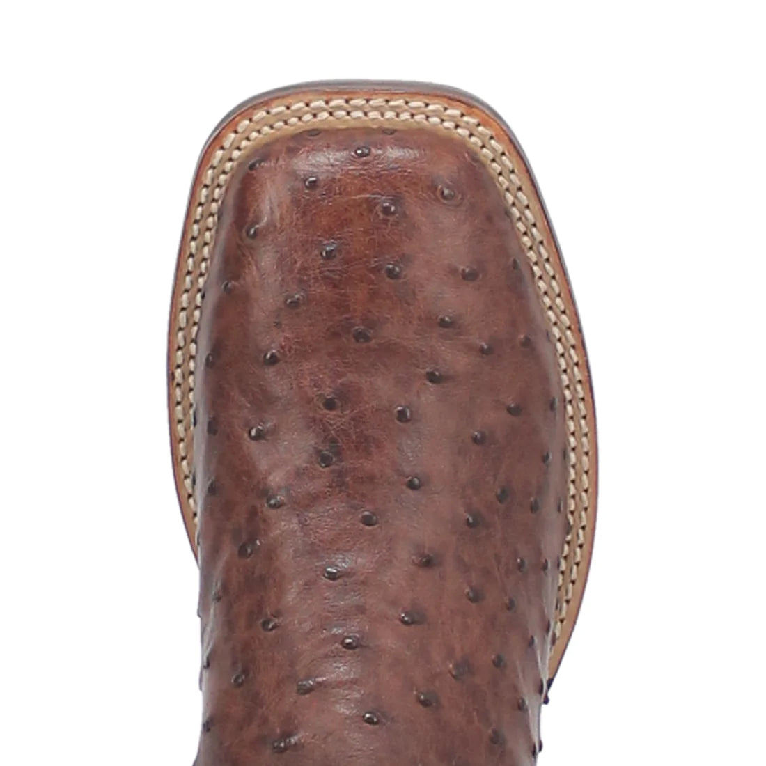 Men's Footwear | Exotic Boots