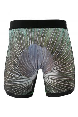 Cinch - 6" Peacock Boxer Brief | Mxy6009016